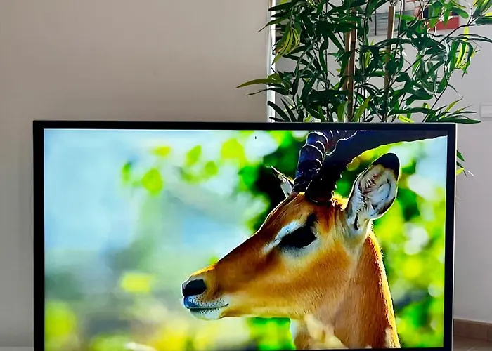 Sunny La Tejita * 格拉纳迪利亚-德阿沃纳