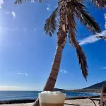 Sunny La Tejita