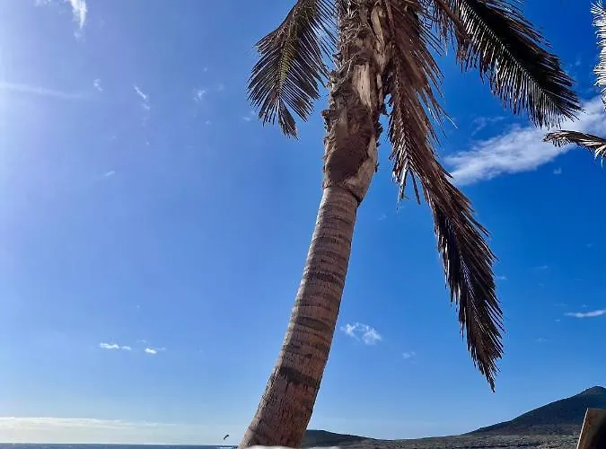 Sunny La Tejita