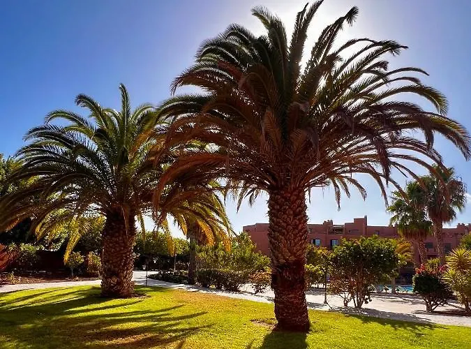 Sunny La Tejita